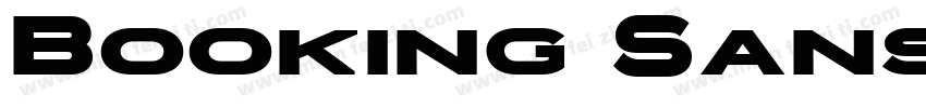 Booking Sans Bold字体转换